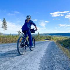 Mountainbiketour zum Svarthögen und weiter nach Börtnan