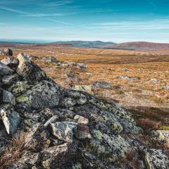 Es wird Herbst in den Bergen - hier auf einem Gipfel des Hästryggen in Jämtland